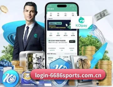 6686体育 APP