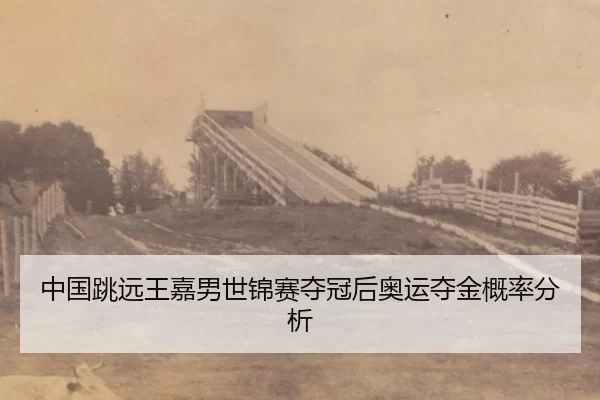 zhong-guo-tiao-yuan-wang-jia-nan-shi-jin-sai-duo-guan-hou-ao-yun-duo-jin-gai-lv-fen-xi-3-500.jpg
